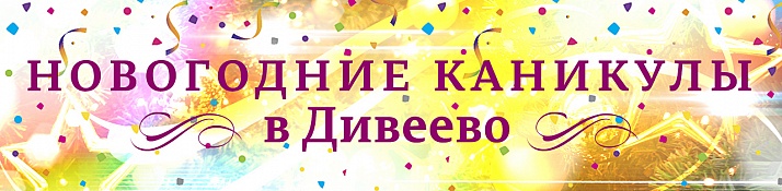 Новогодние каникулы